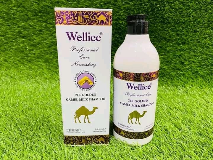 242406001_261879165668361_8898345839005969537_n