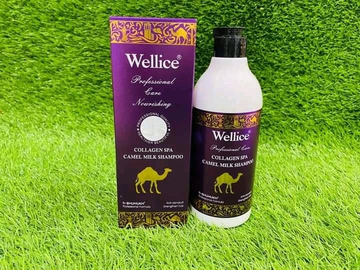 242474599_386990999752455_9008307722698224646_n